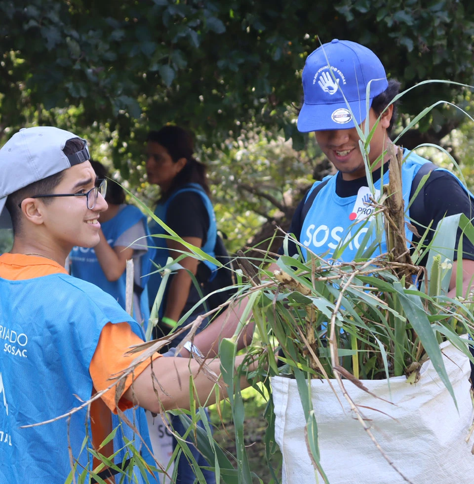 Nuestros Voluntariados